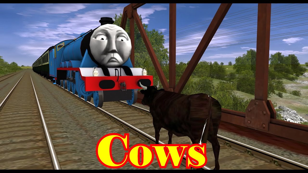 Cows