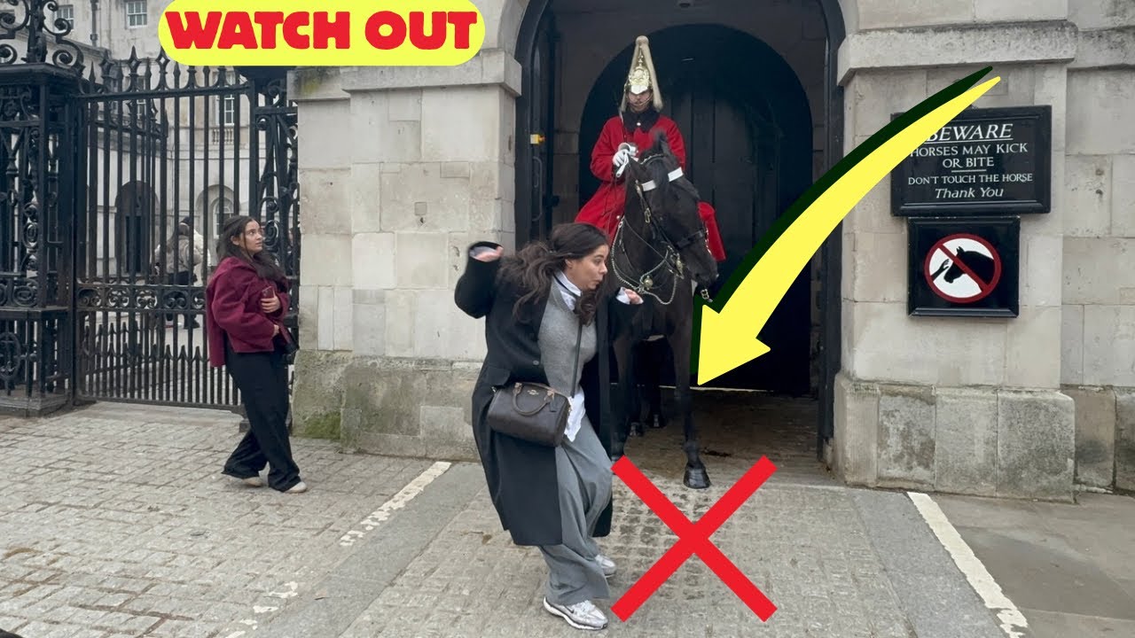 SCREAMS of Authority King’s Guard Strikes Fear into All 🤬Stand Back 