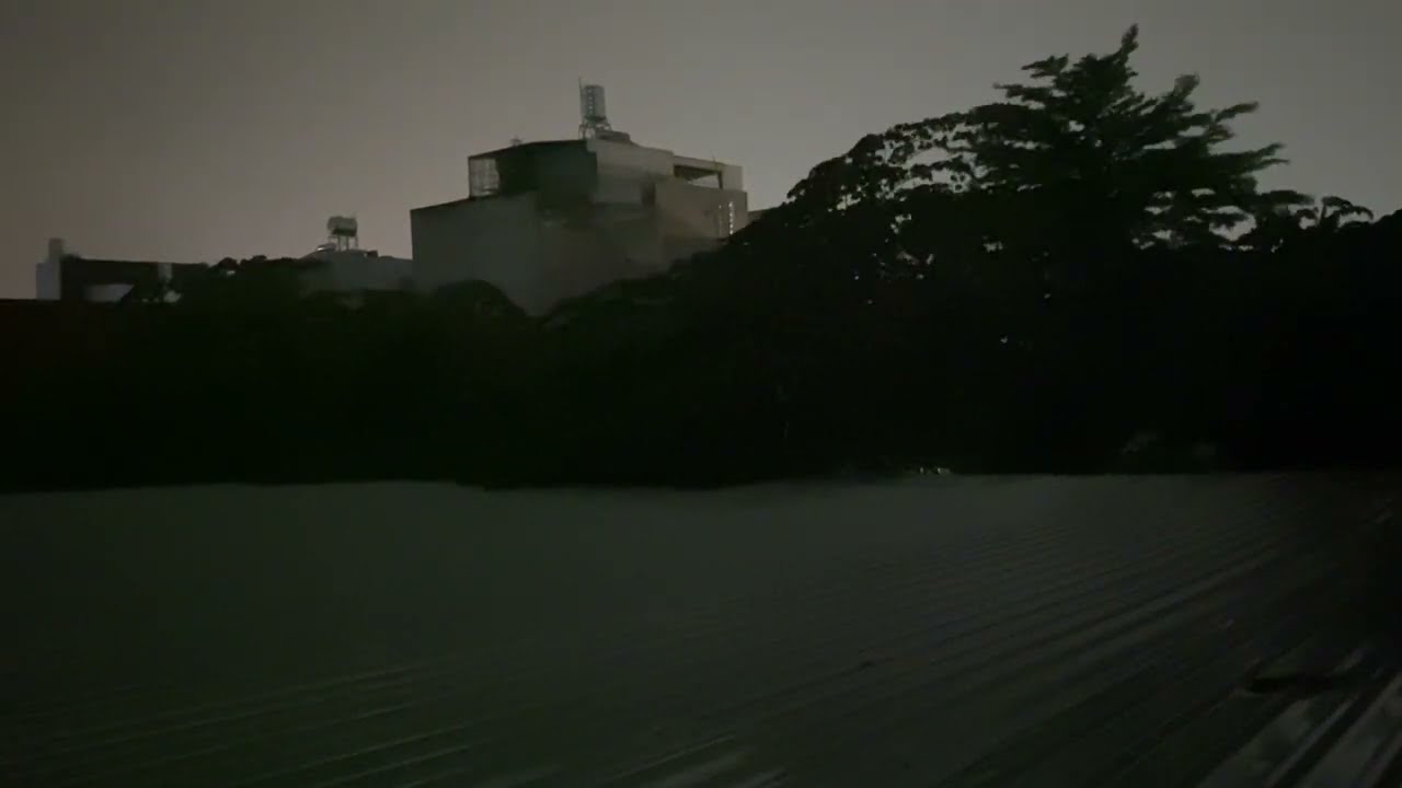 Sound of rain on the roof at night I LIFE and RAIN and ANIMALS TV #relaxingsounds #rainsounds