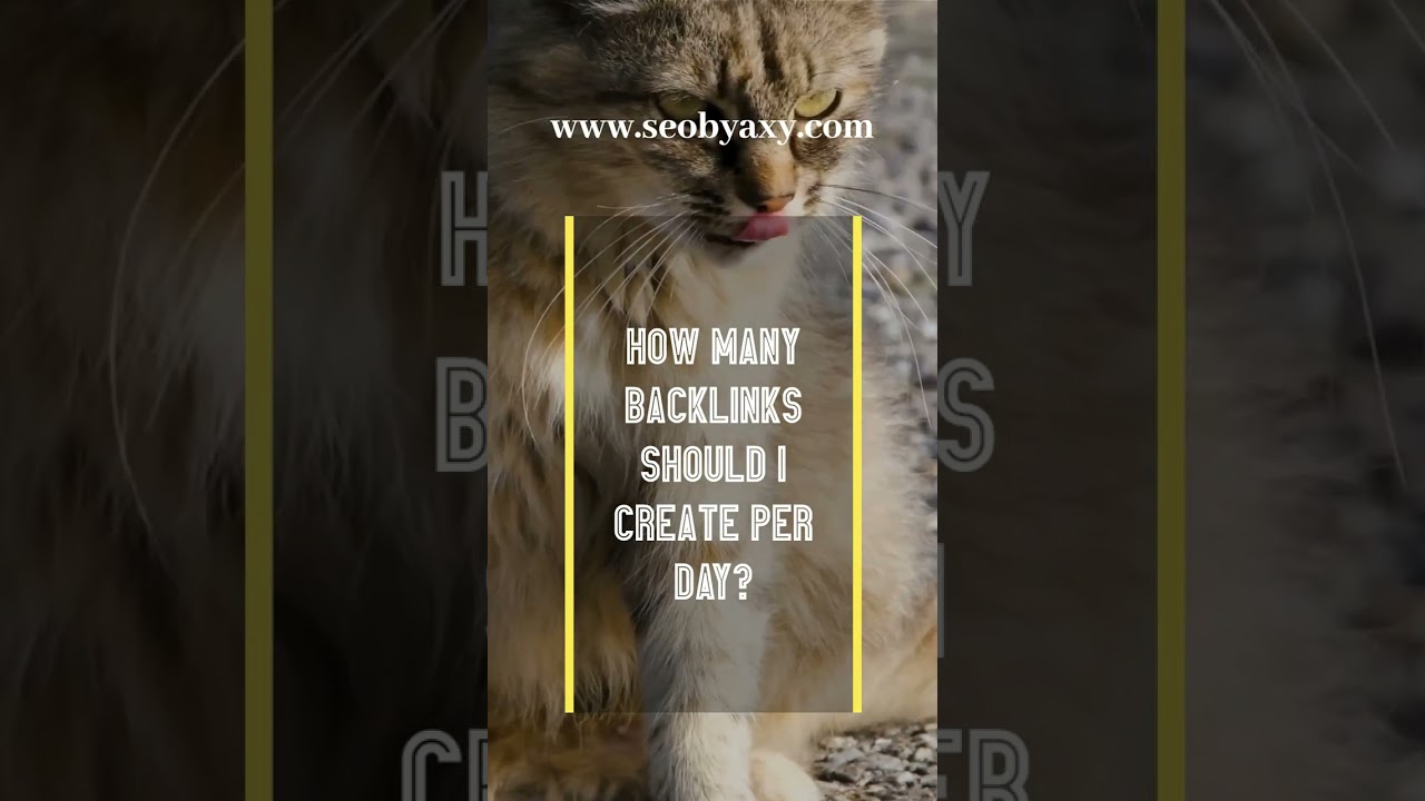 How Many Backlinks Should I Create Per Day? 