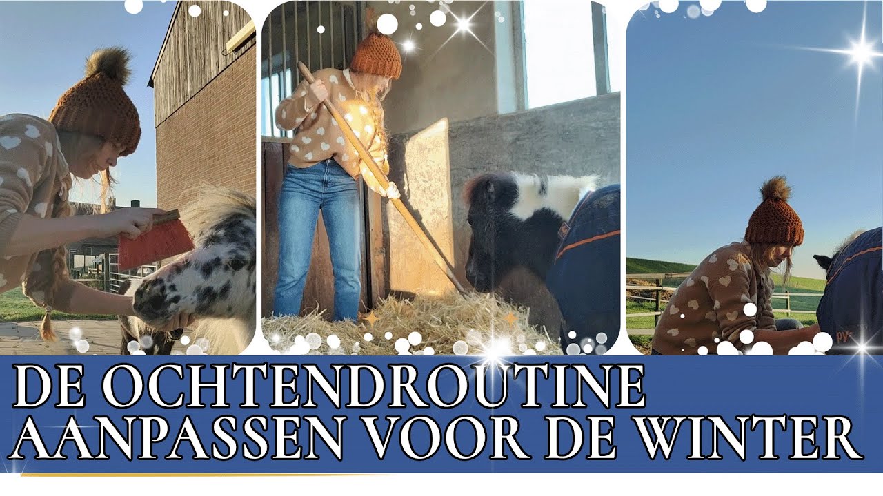 Esra is begonnen met haar winterroutine!! | PaardenpraatTV