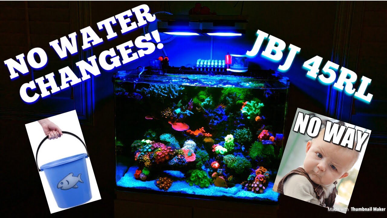 NO WATER CHANGES EVER!!