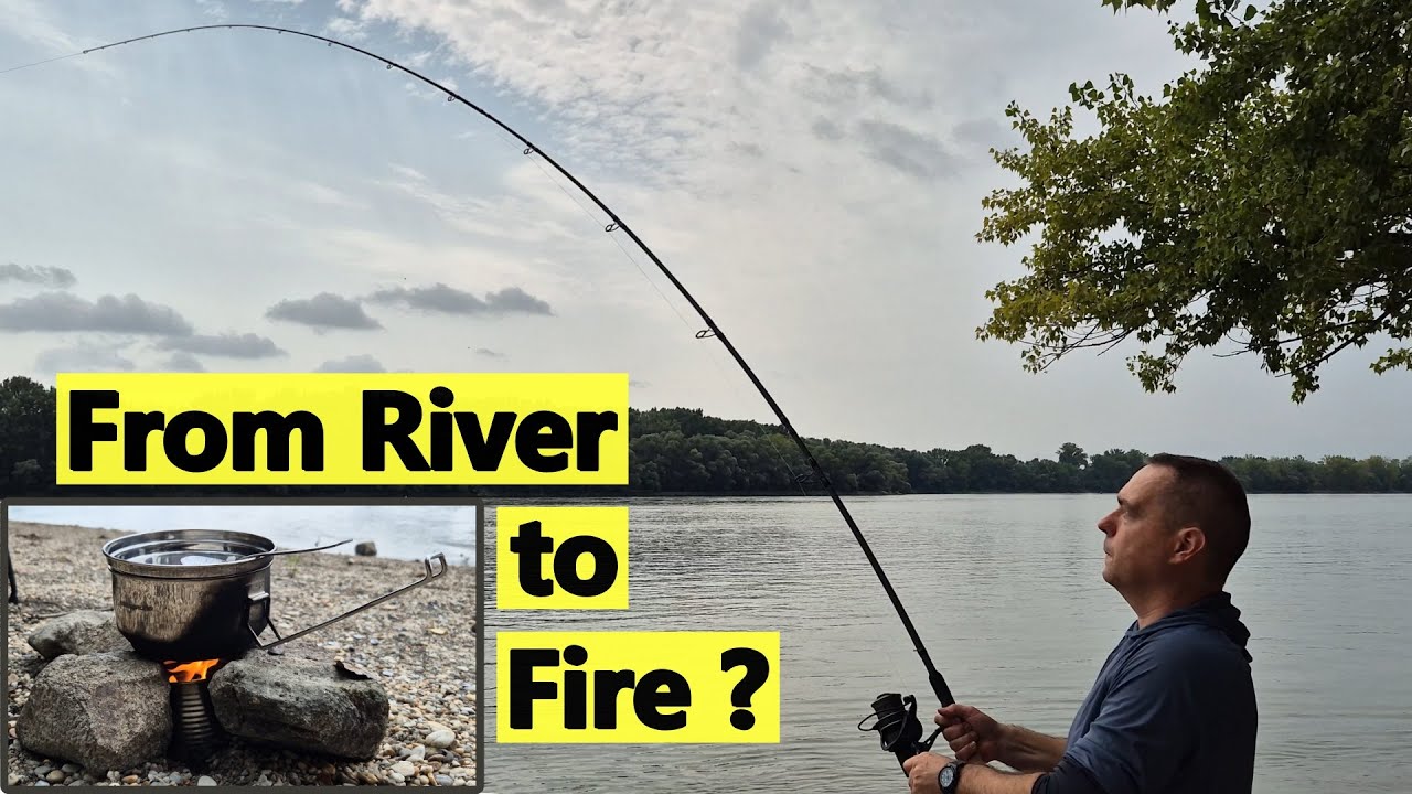 When Lunch Swims Away! What We Ate Instead... Danube River Feeder Fishing.