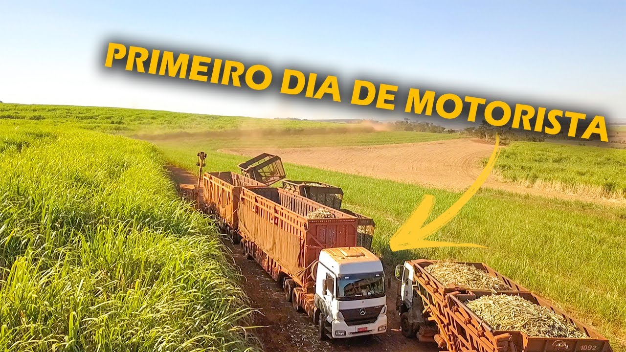 PRIMEIRO DIA TRABALHANDO EM UM RODOTREM CANAVIEIRO - VIDA DE CANAVIEIRO