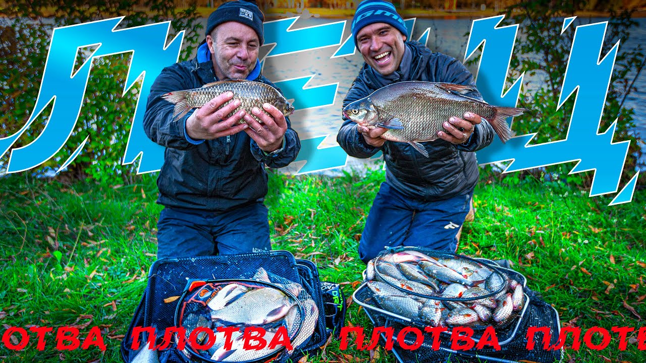 💥Рыбалка на фидер осенью 💥 Ловля леща и плотвы 💥 Как ловить, то что хочется?! 💥 Рыбалка #69 выпуск