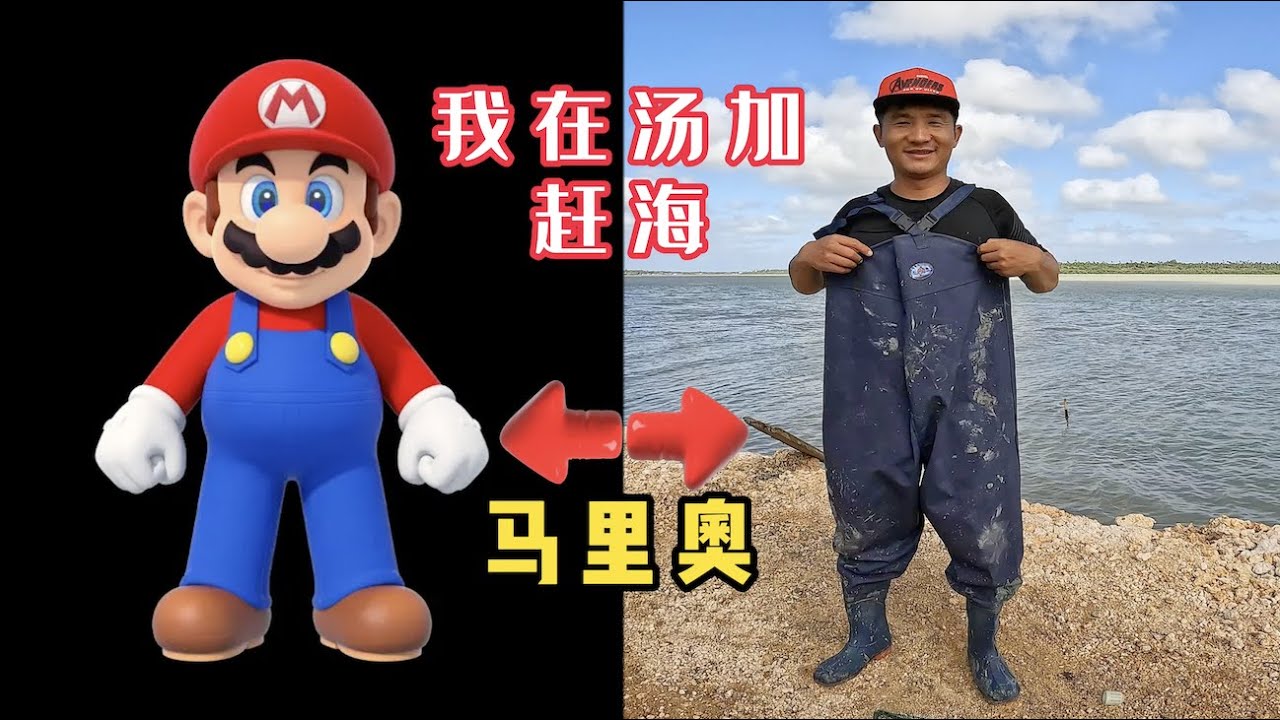 《汤加》第10天：无语啦！这里的码头就能钓到巴掌宽的带鱼!#旅行 #旅行攻略 #环球旅行 #赶海 #t汤加