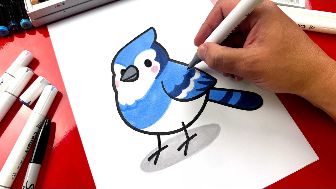How To Draw A Cute Blue Jay Bird