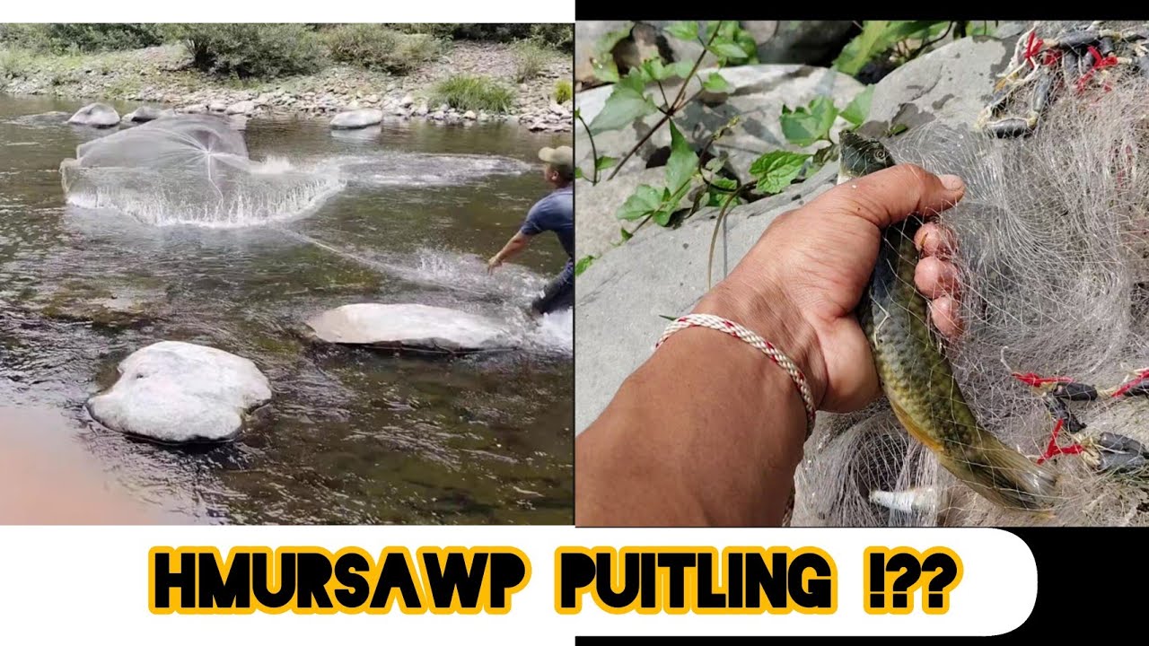 Ngopa Tuivai Lam ah Lendeng ve thung ang aw.. 🐟🐟