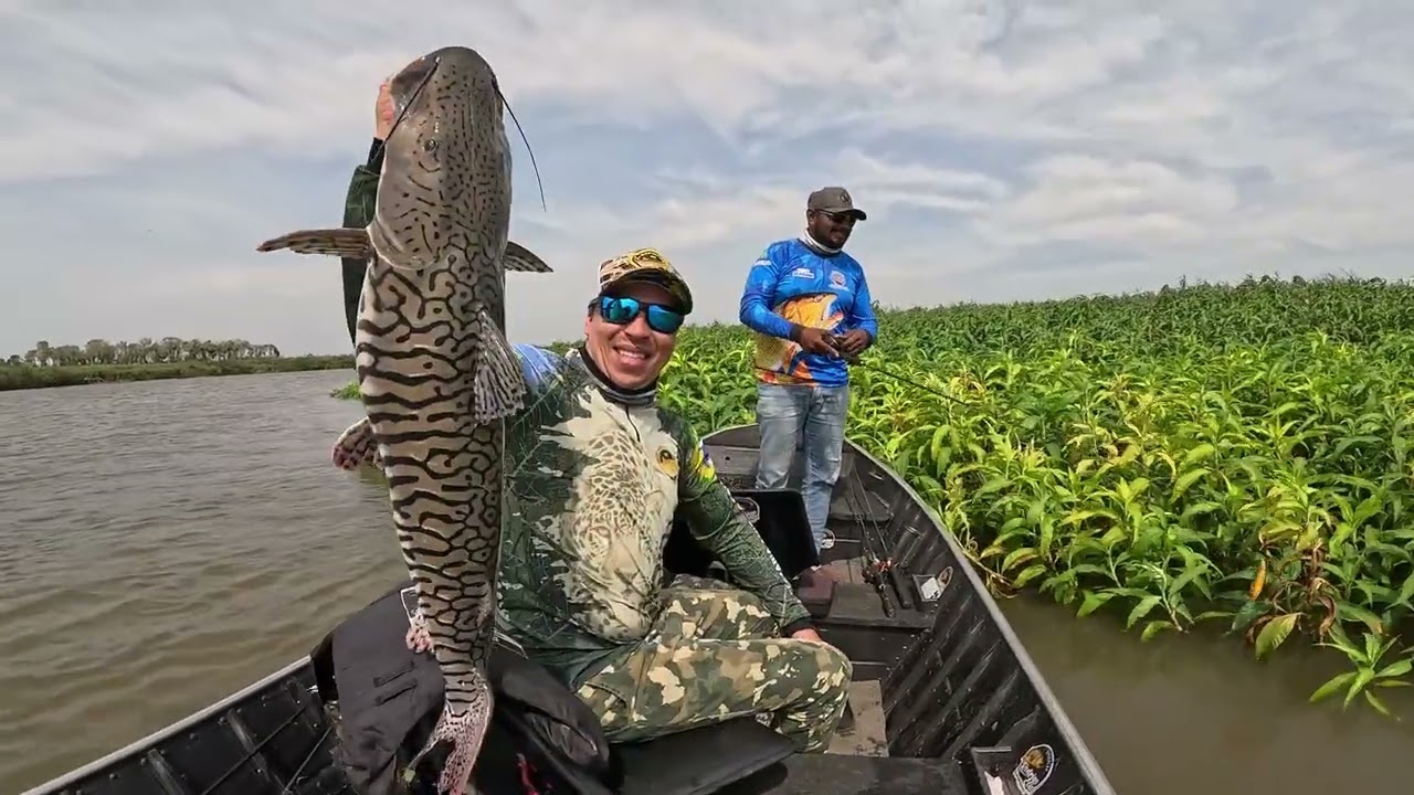 O MELHOR LUGAR PARA PESCAR NO RIO MIRANDA PANTANAL !!!