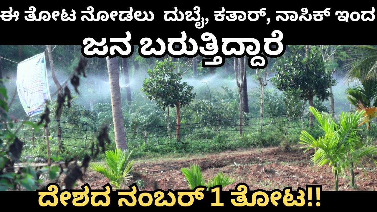 ಇಲ್ಲಿನ ಹೈನುಗಾರಿಕೆ ಅದ್ಭುತವಾಗಿದೆ !:Ph:  6362139488