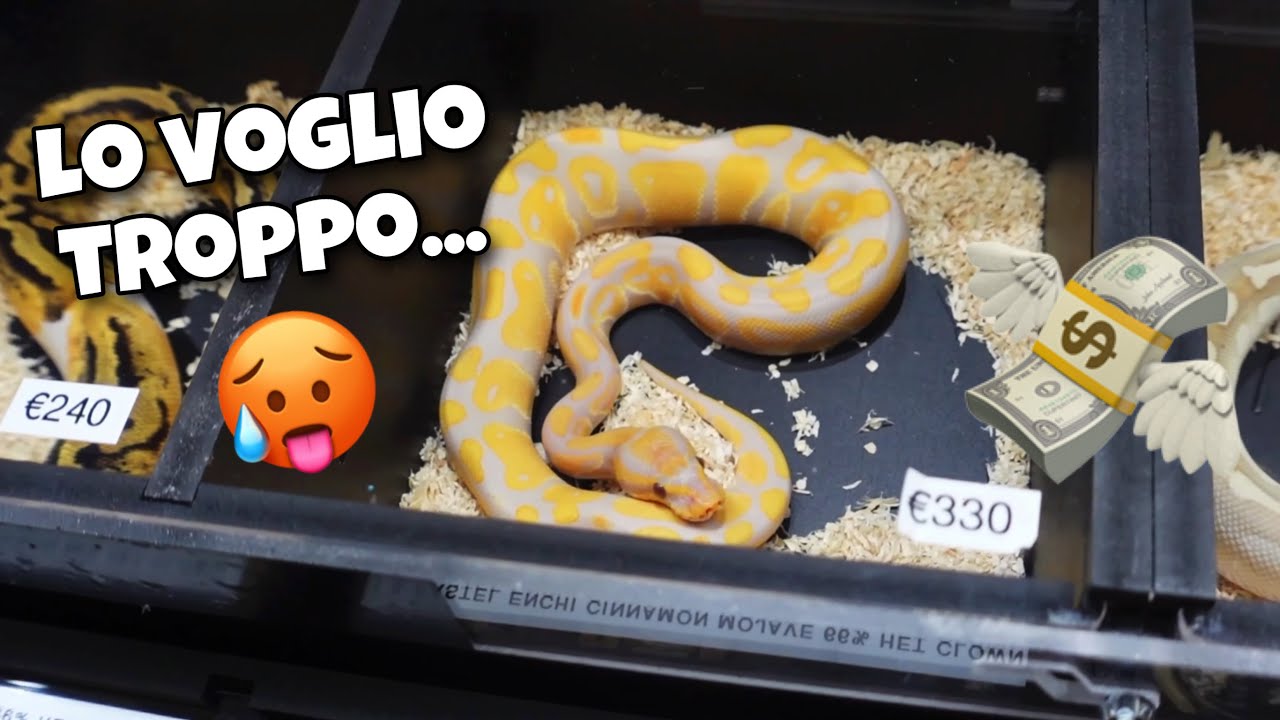 FIERA RETTILI e ANIMALI ESOTICI 2023 (FIANO ROMANO  19 marzo)