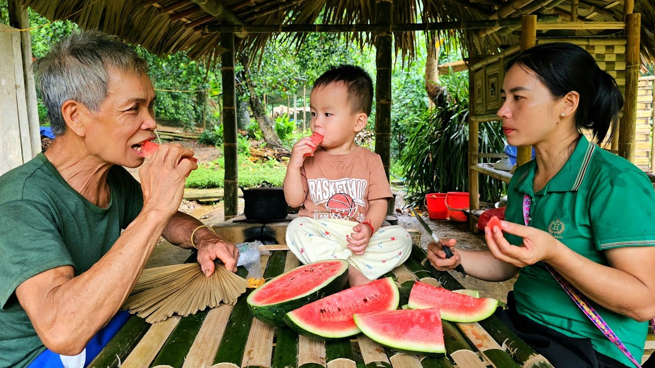 Harvest watermelon to sell at the market - Delicious sticky corn kernels - Taking care of pets