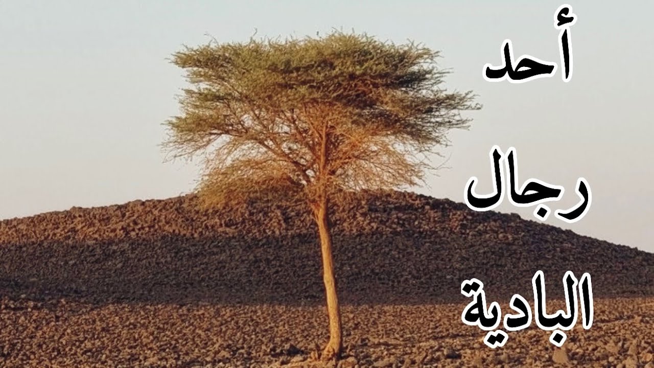 رجل من البادية من اغرب وأعجب ما يكون (قصة قديمة) #قصص_واقعية #رمضانيات#رمضان #قصص #قصة #جن‪#‬رعب