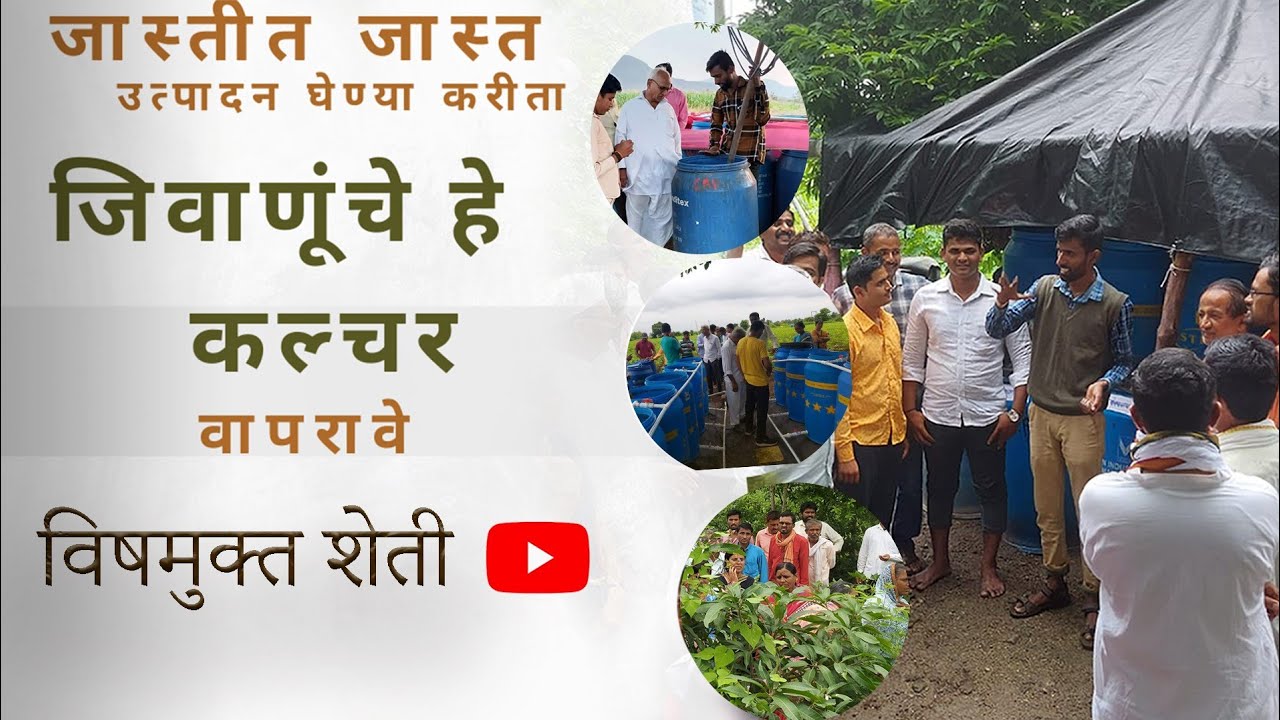 सगळ्यात भारी जिवाणूंचे कल्चर कोणते आहे.? हे जाणून घ्या.. ज्याने शेतामध्ये भरपूर उत्पादन होईल..