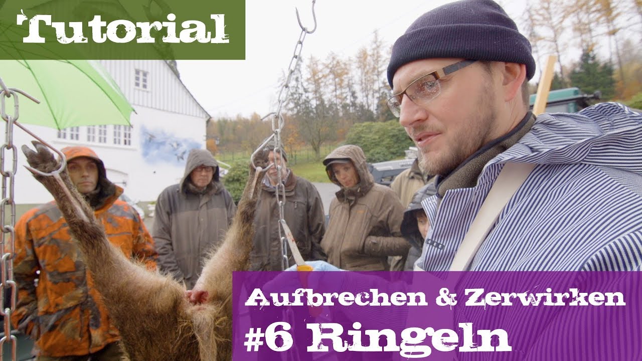 #6 Ringeln - Lehrgang Aufbrechen & Zerwirken