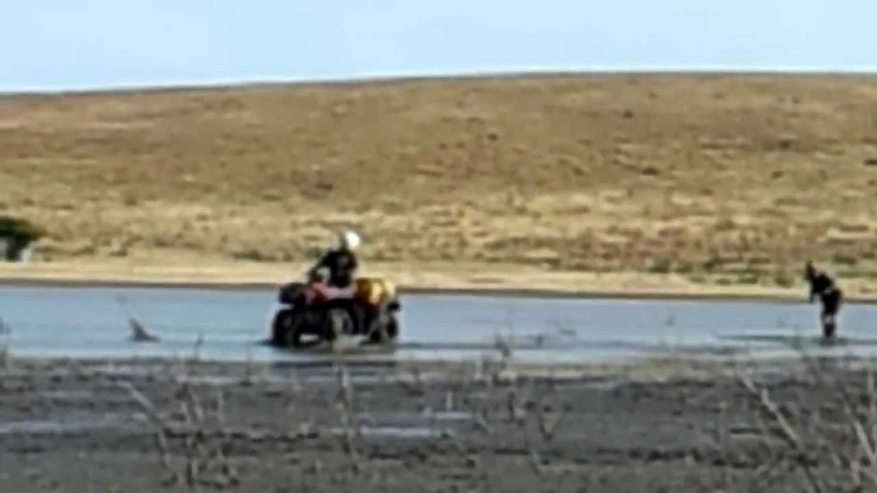 Mud Skiing - Muddy Lake Style