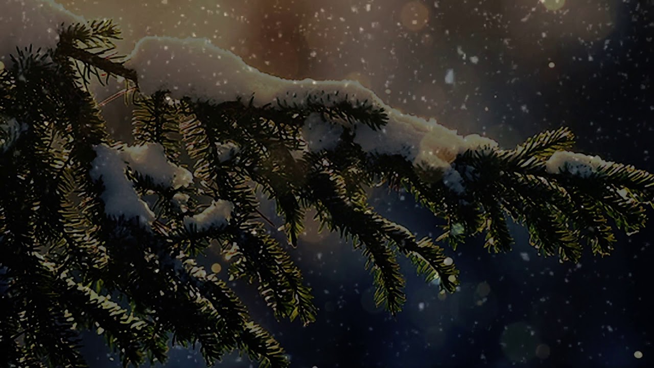 Winter Scenary VI