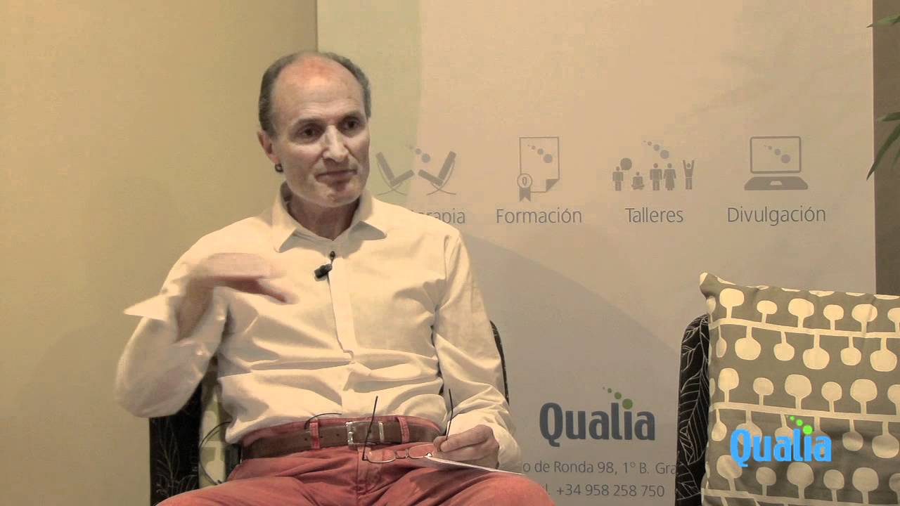 Los conflictos internos