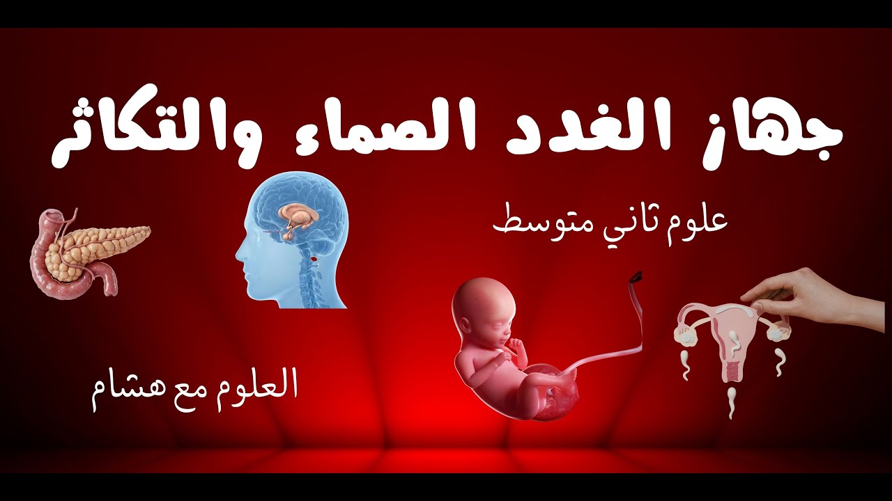 كيف تتحكم في جسمك؟ 🌱 شرح الغدد الصماء والتكاثر | علوم متوسط ​​ثاني 1447هـ