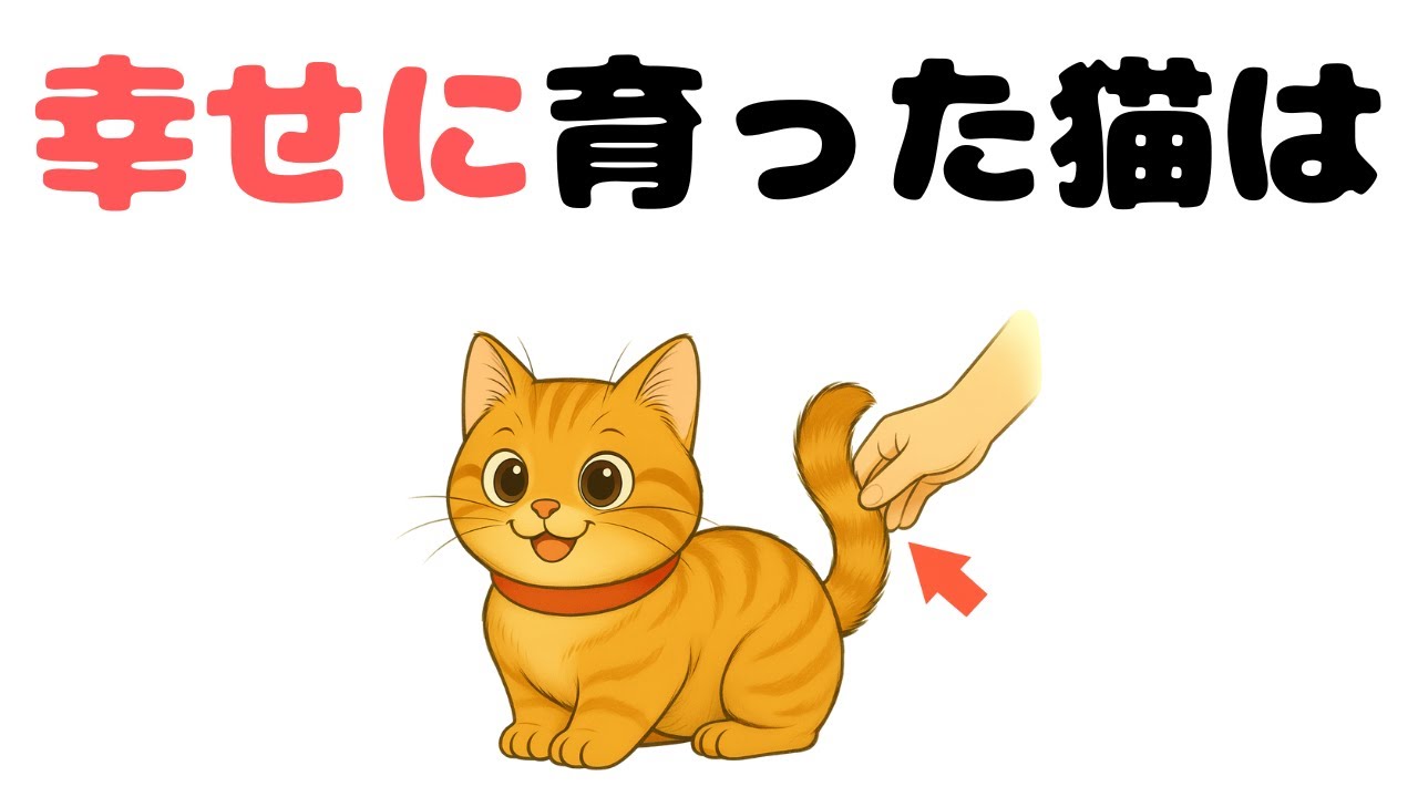猫の雑学‼【チェック】幸せに育った猫のサイン10選｜あなたの子は大丈夫？