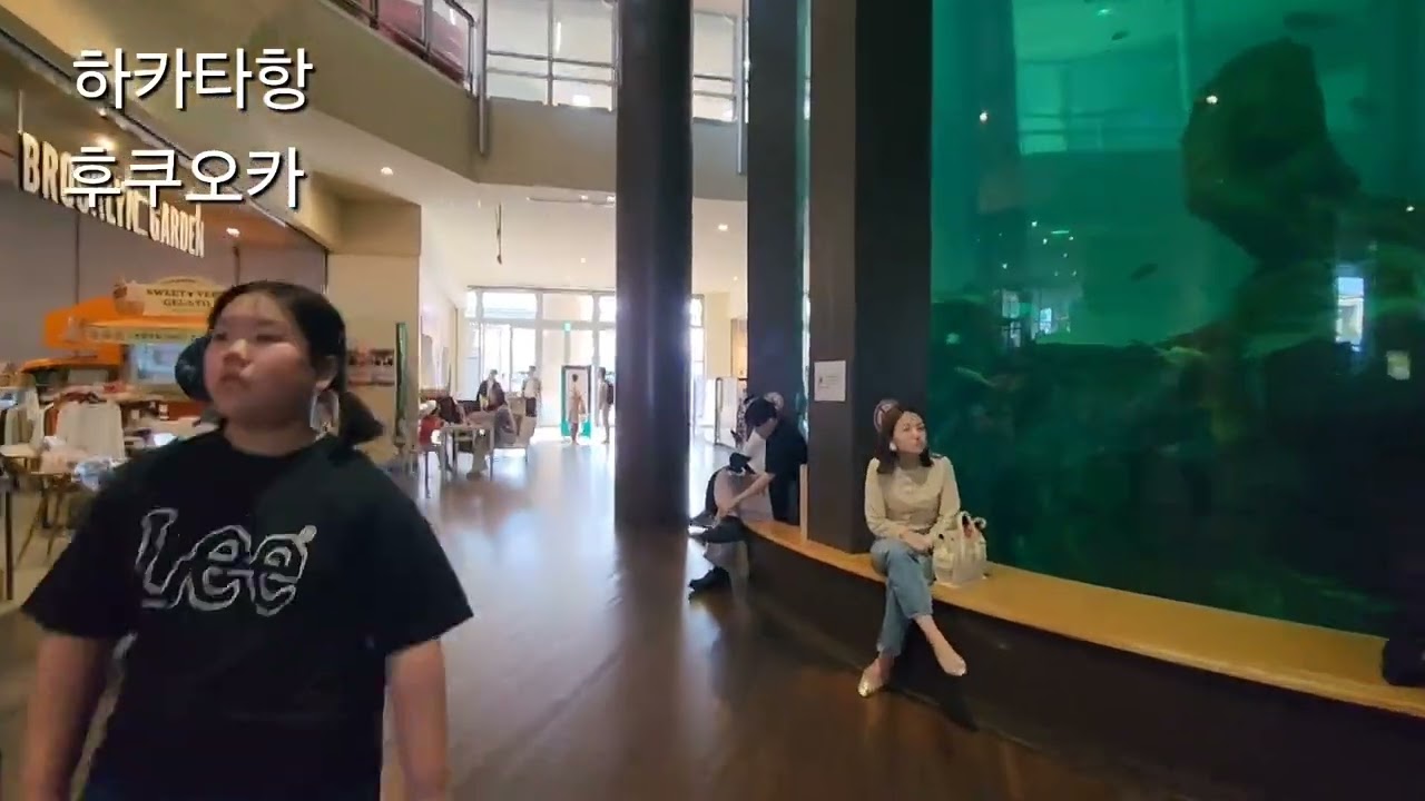 #0003  하카타항, 후쿠오카 25.5.4 초본