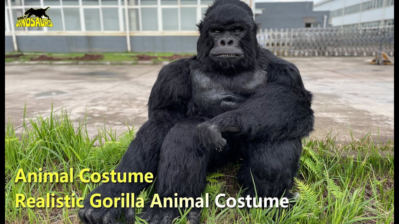 Realistic Gorilla Animal Costume for Sale | Custom Product