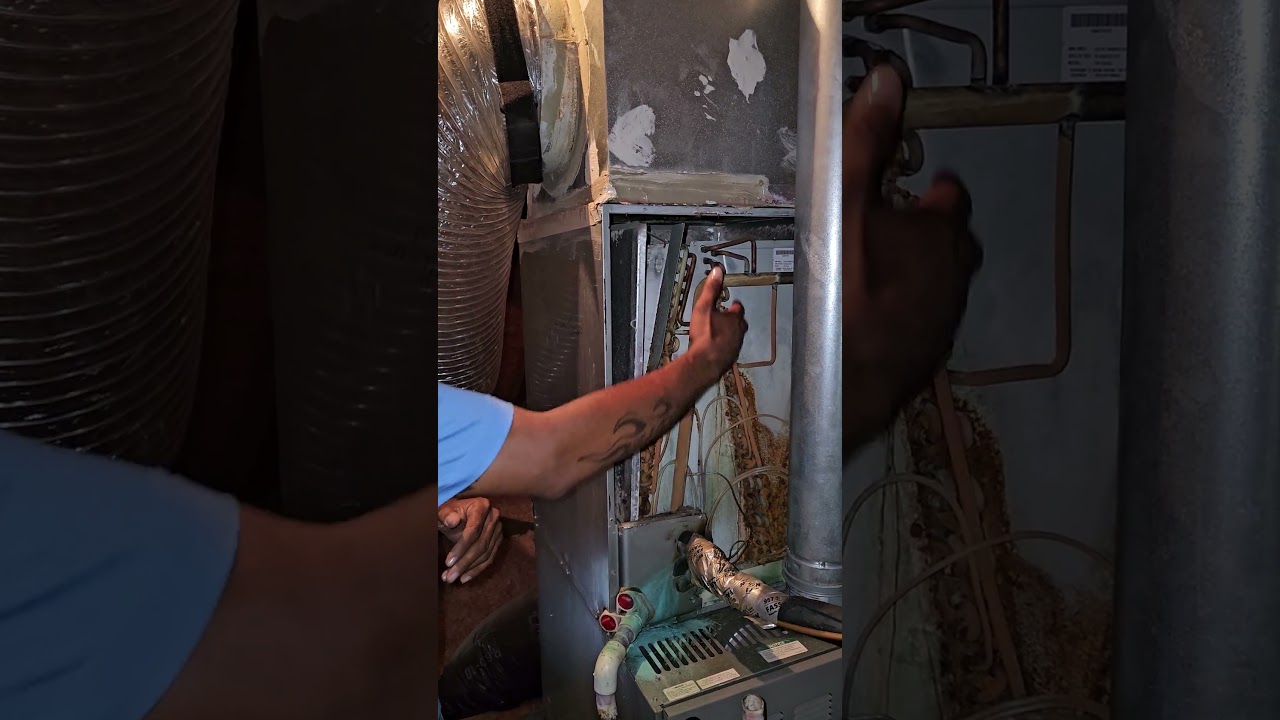 HVAC and Mold