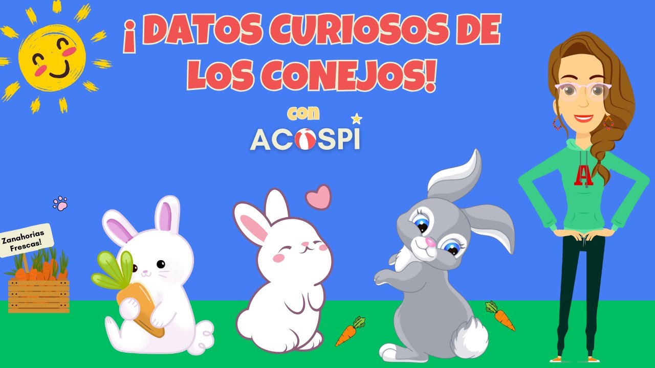 Conejos | Video Educativo de Animales para Niños y Niñas | Bunnies in Spanish for kids