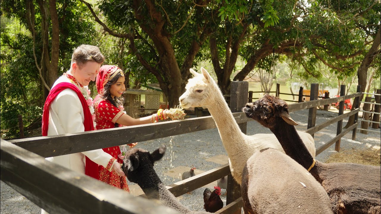A Tale of 2 Ceremonies: An Indian Wedding and Civil Ceremony