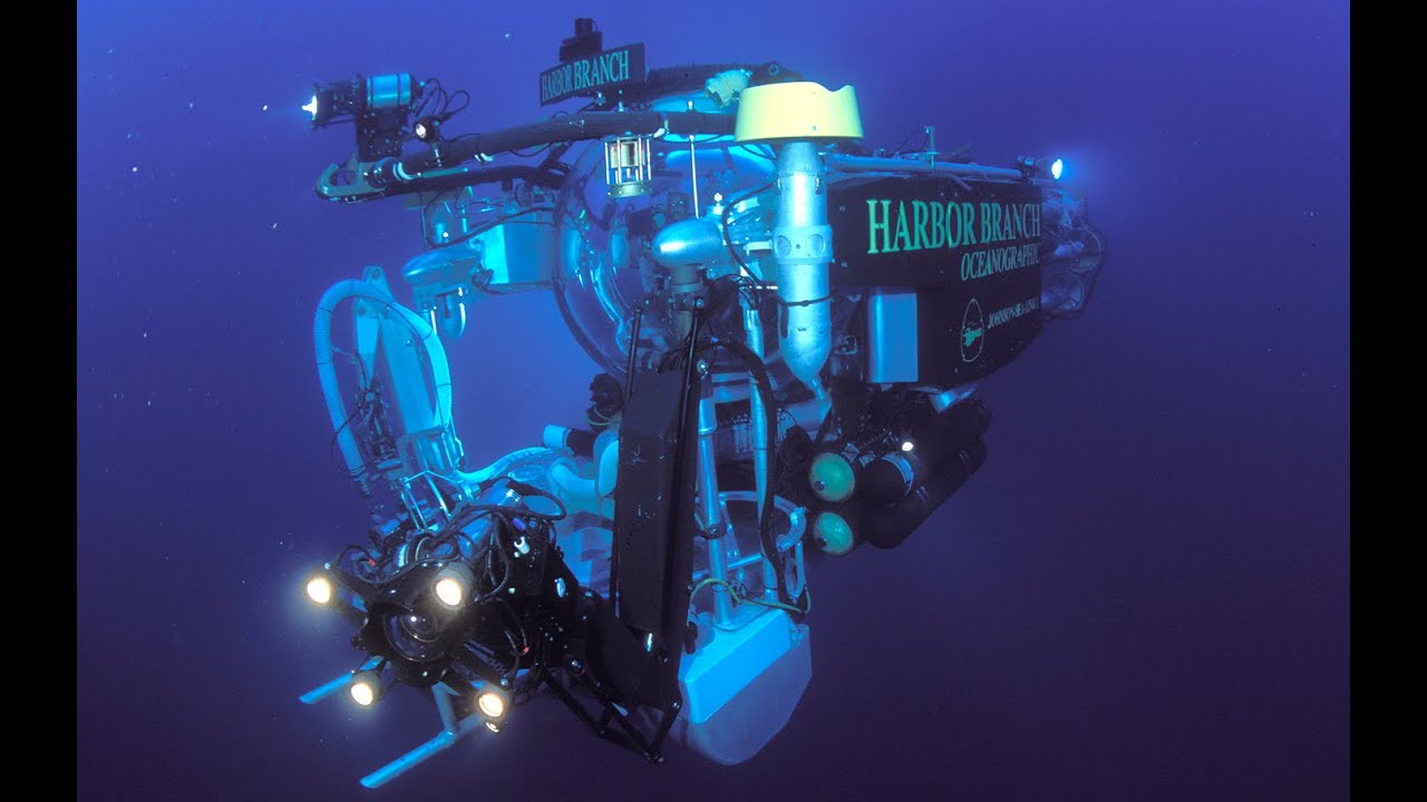 Looking Deeply: Deep Sea Discoveries and Adventures with the Johnson-Sea-Link Submersibles
