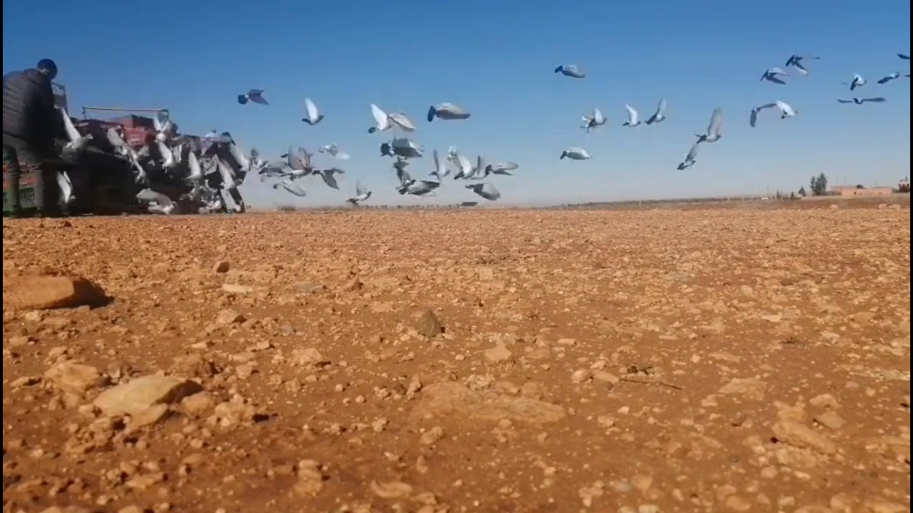 تدريب الخامس من (ولد خلوف) 56km ✌️🕊️🪶