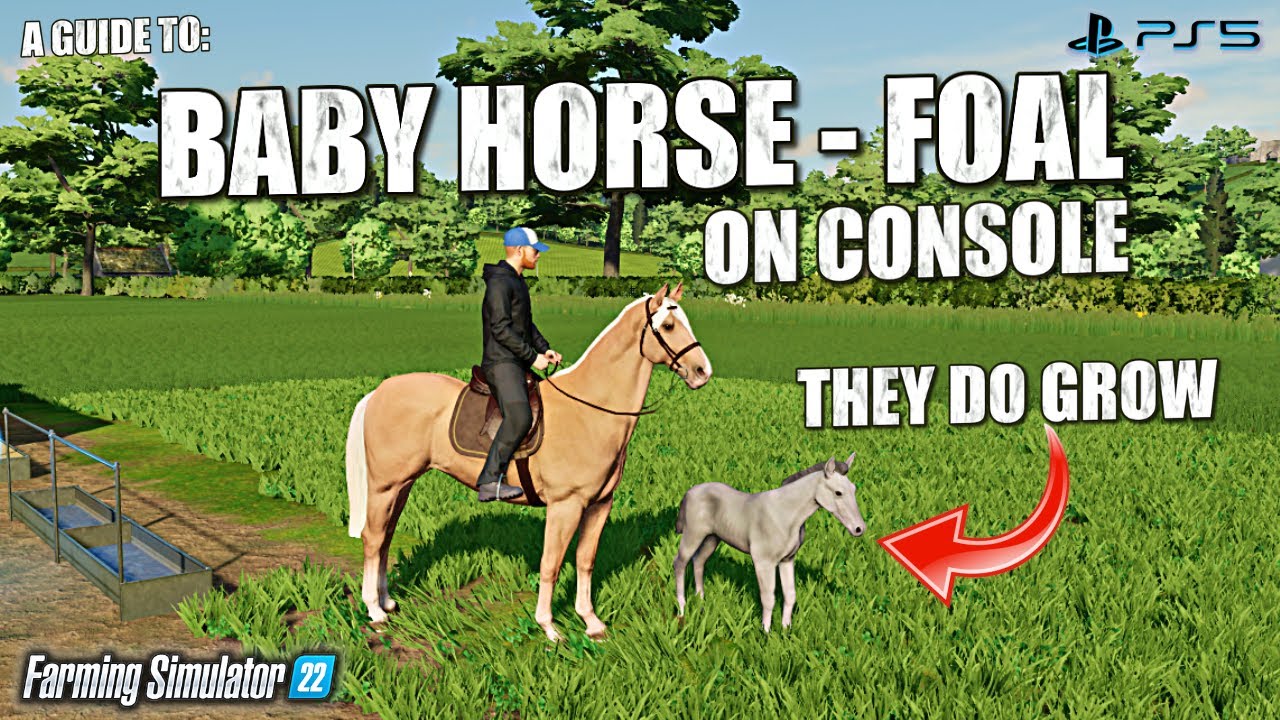A Guide To: Foals on Console - Ballyspring - Farming Simulator 22 - PS5.