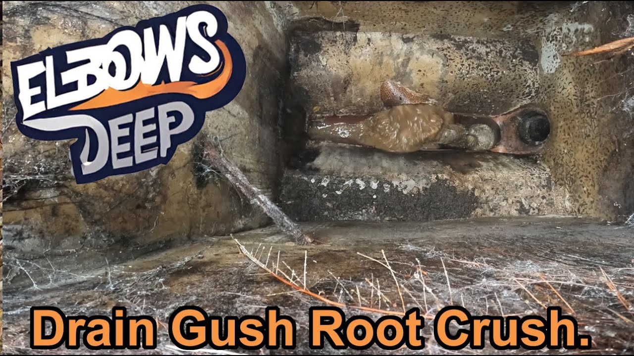 Drain gusher and the root cutter