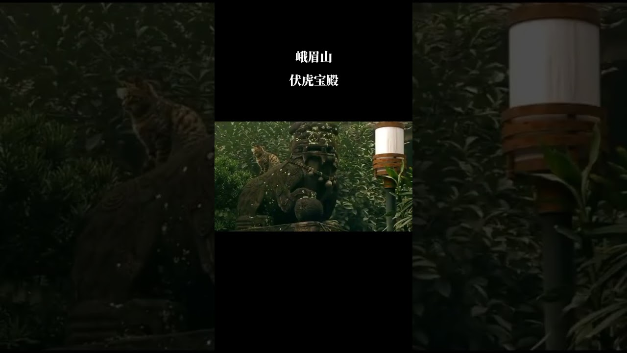 峨眉山 第15集 伏虎寺见者好运