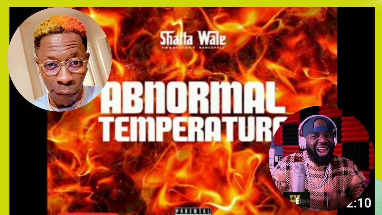 Shatta Wale - Adnormal TEMPERATURE (audio slide) Reaction video!!