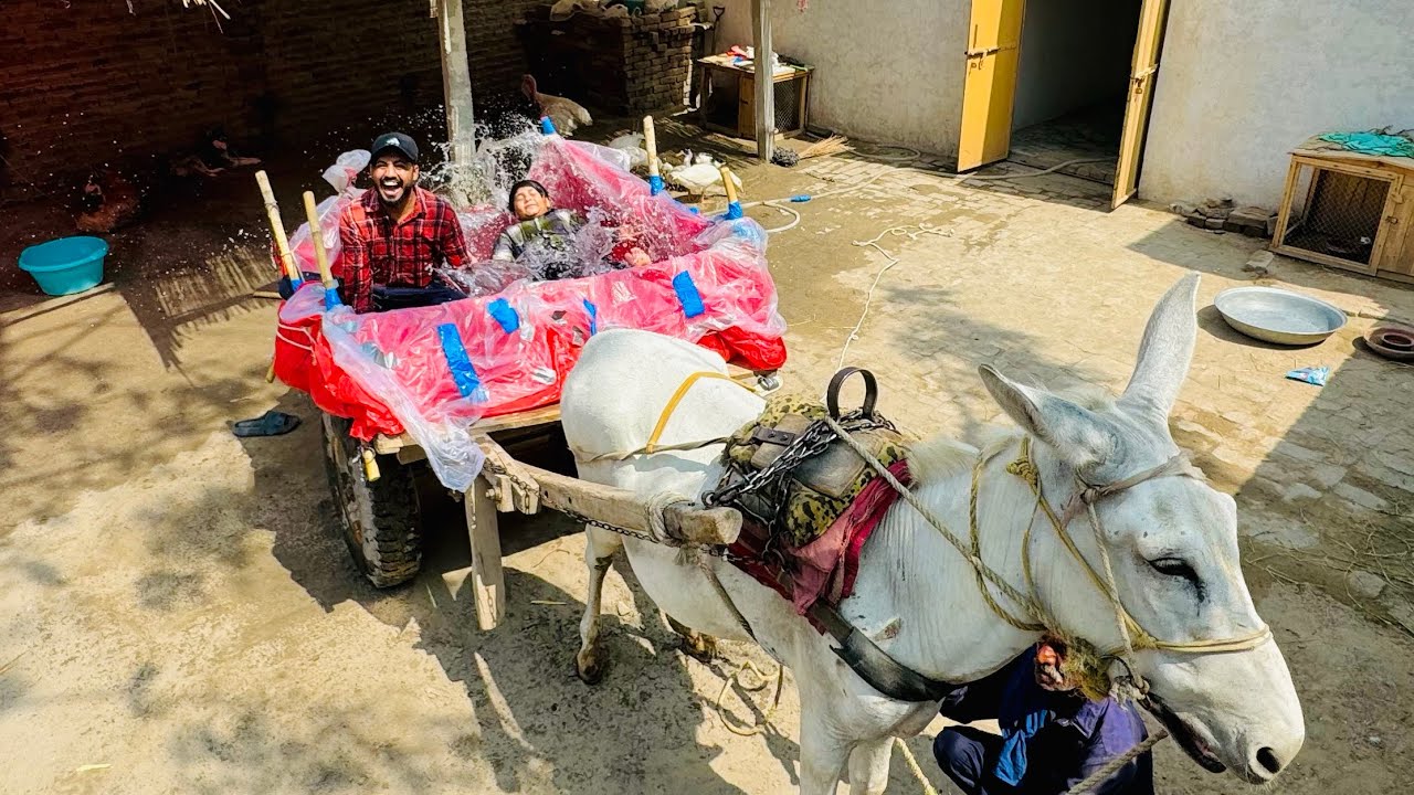 We made swimming pool on donkey 🫏 😱 || gadha gari pr swimming pool bna deya 😳 ||