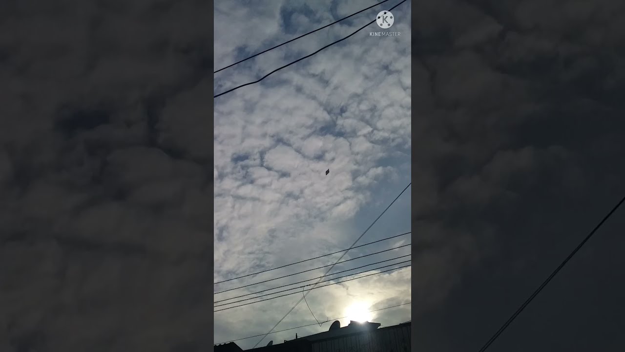 kite fighting || kite cutting tricks || how to cut others kite || #shorts , #kiteflying , #kite