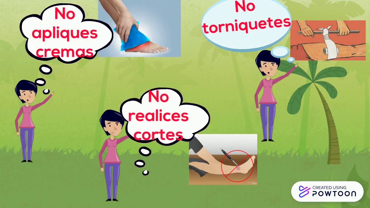 ofidios