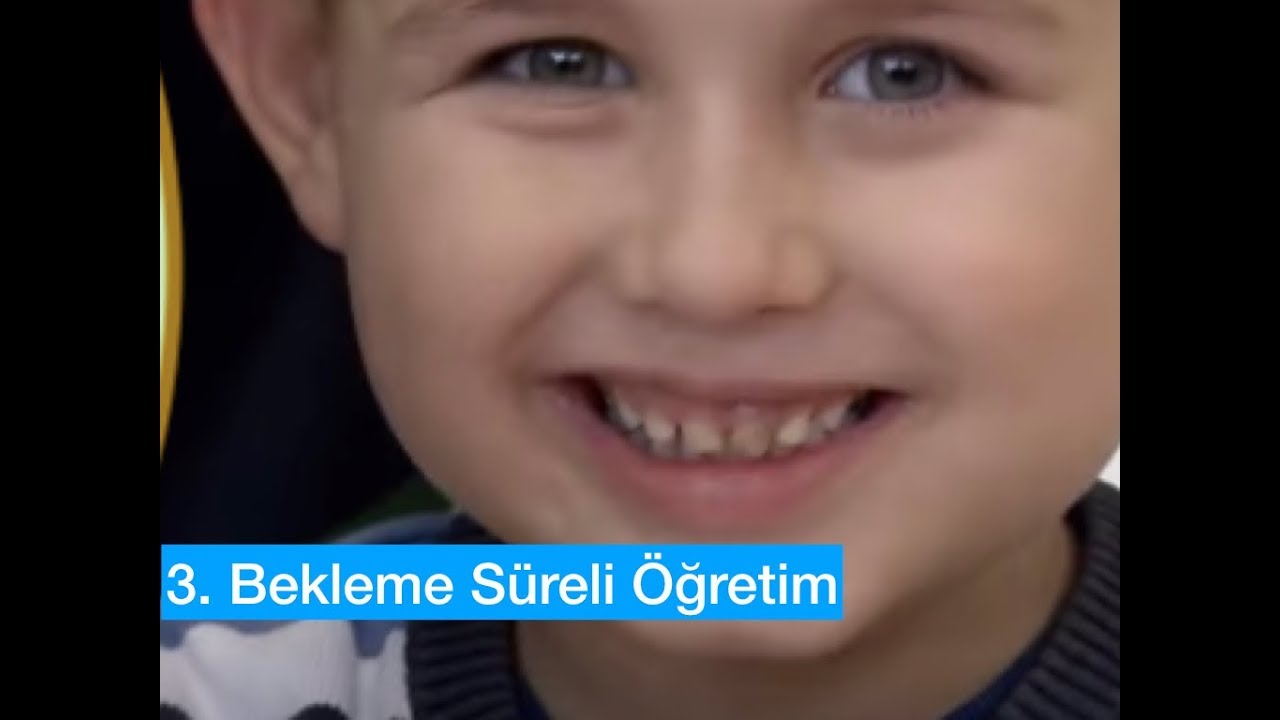 Bekleme Süreli Öğretim : Doğal Öğretim Teknikleri 3