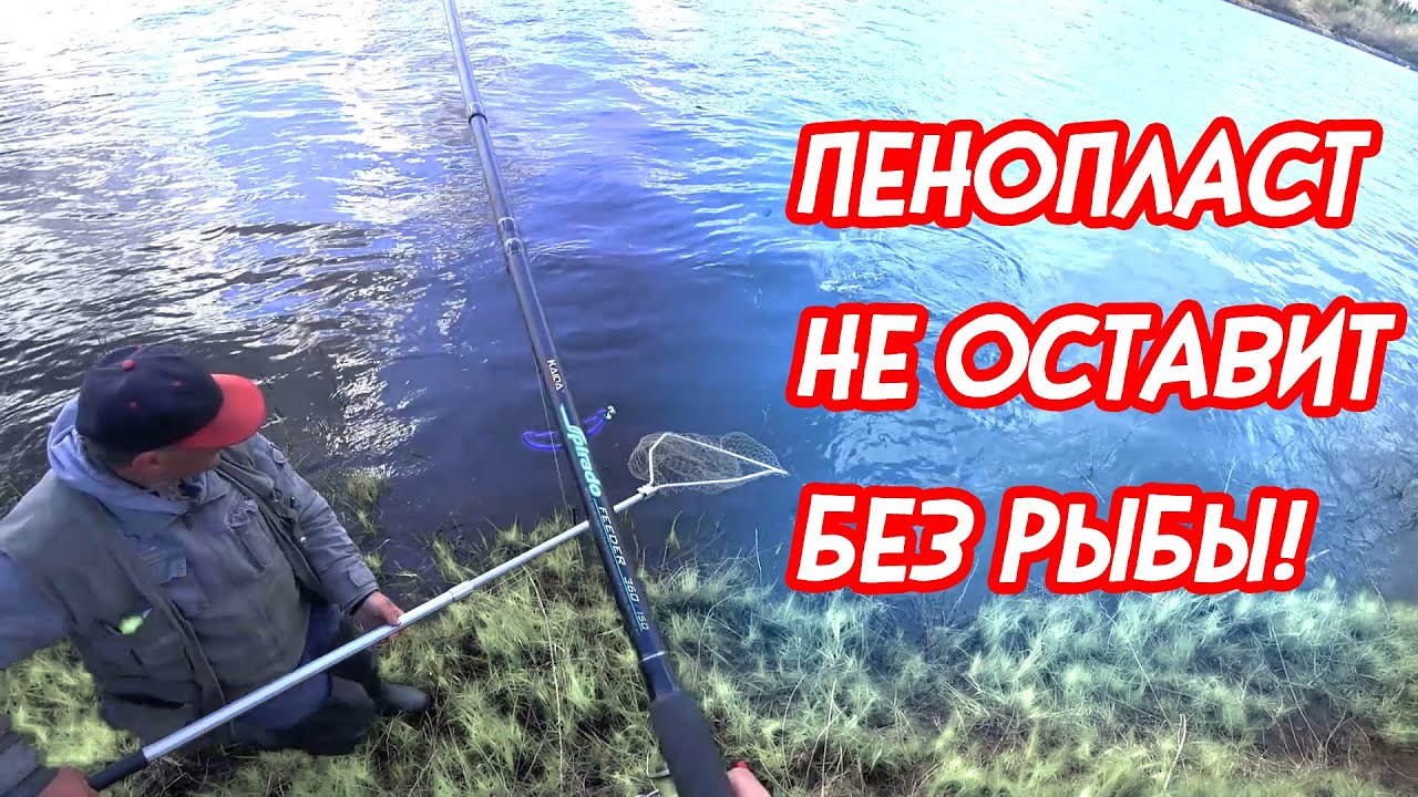 Ловля на Фидер.Западная Двина РБ.Пес поет песни.
