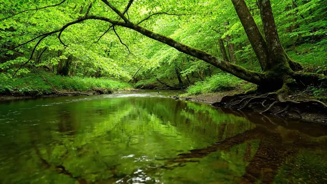 Instant Deep Sleep in 5 Minutes 🌙 Relaxing River Sounds & Birds | Stress Relief Nature ASMR