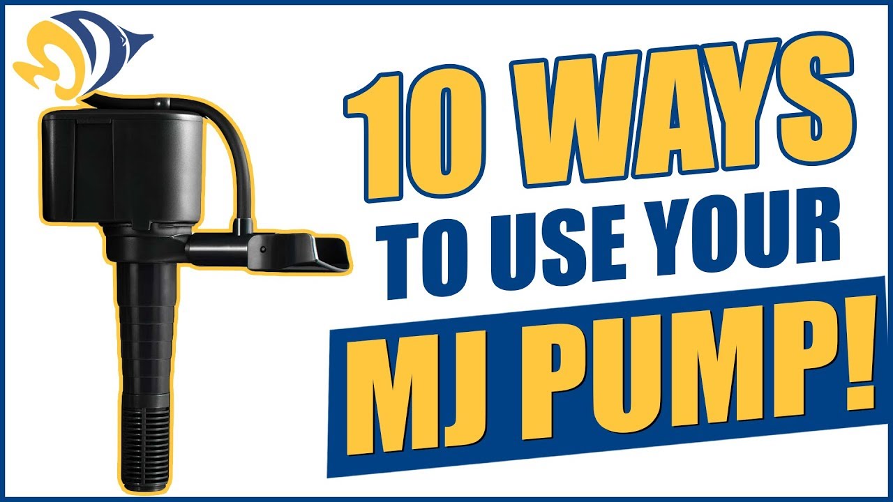 10 helpful ways to use versatile MJ pumps for your reef tank