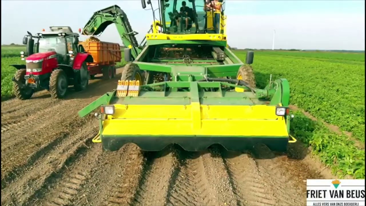 Friet van Beus van aardappel tot gesneden friet