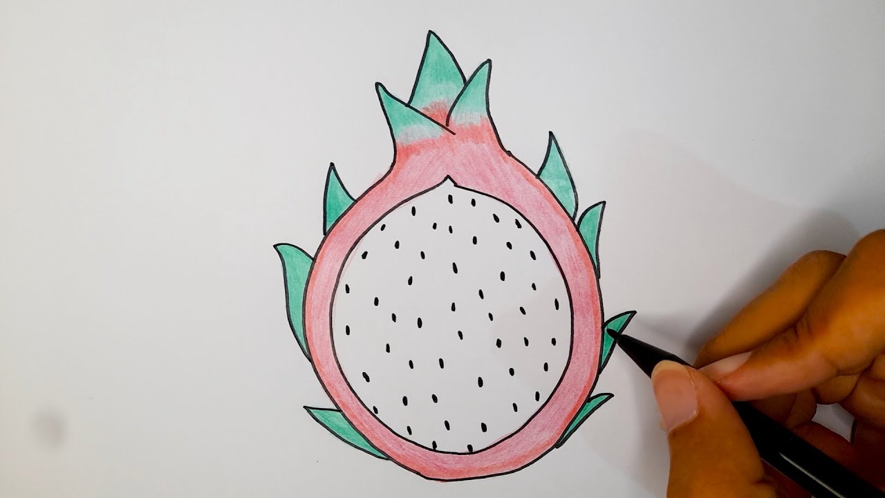 Menggambar Buah Naga Untuk Pemula
