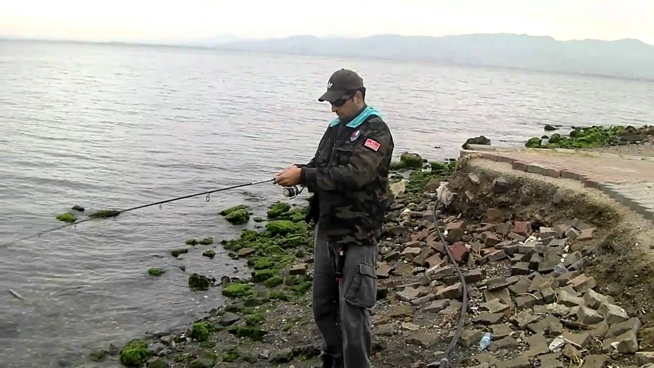 WTD aksiyonu nasıl yapılır...su üstü sahte kullanımı...walk the dog aksiyonu