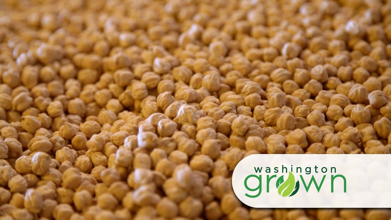 Pulses | Washington Grown | S7E5