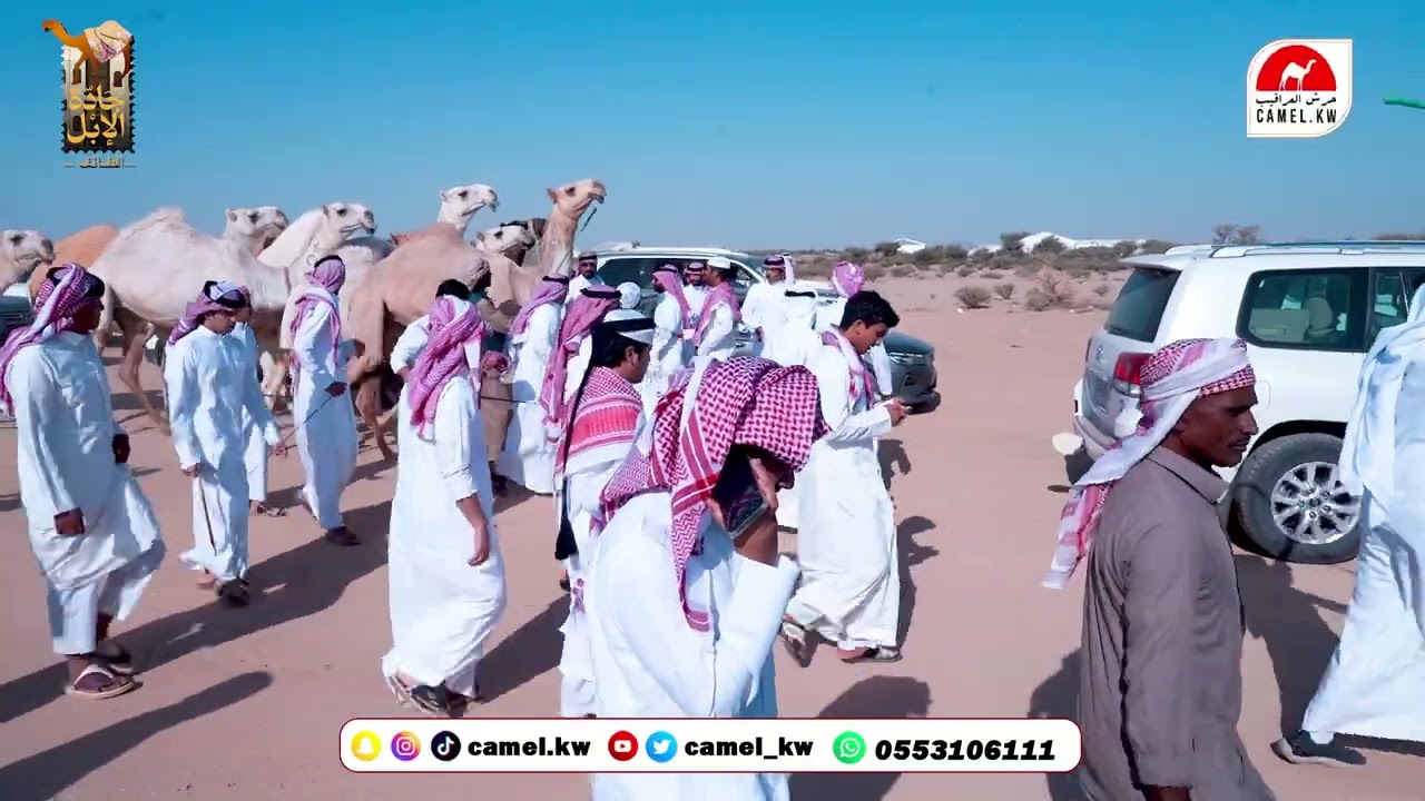 بنات عبرود مسيرة / محمد بن خالد العدوه العجمي
