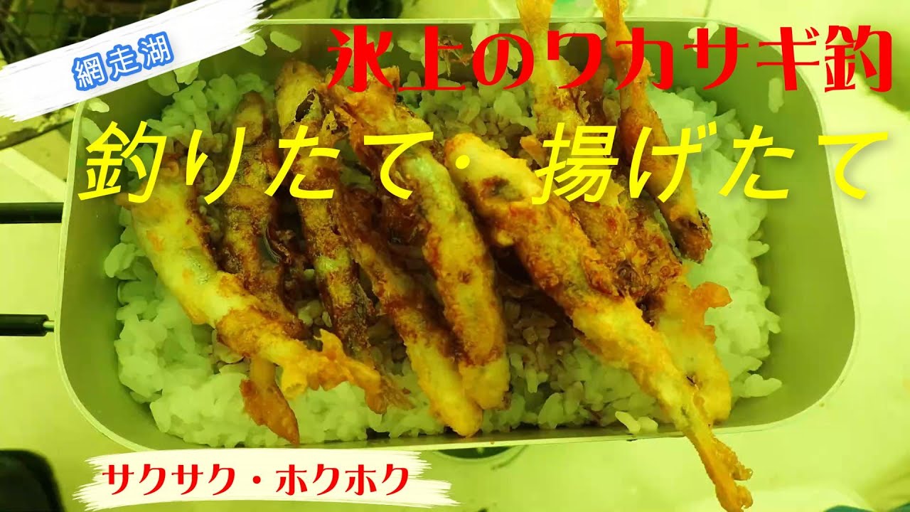 網走湖のワカサギ釣り
