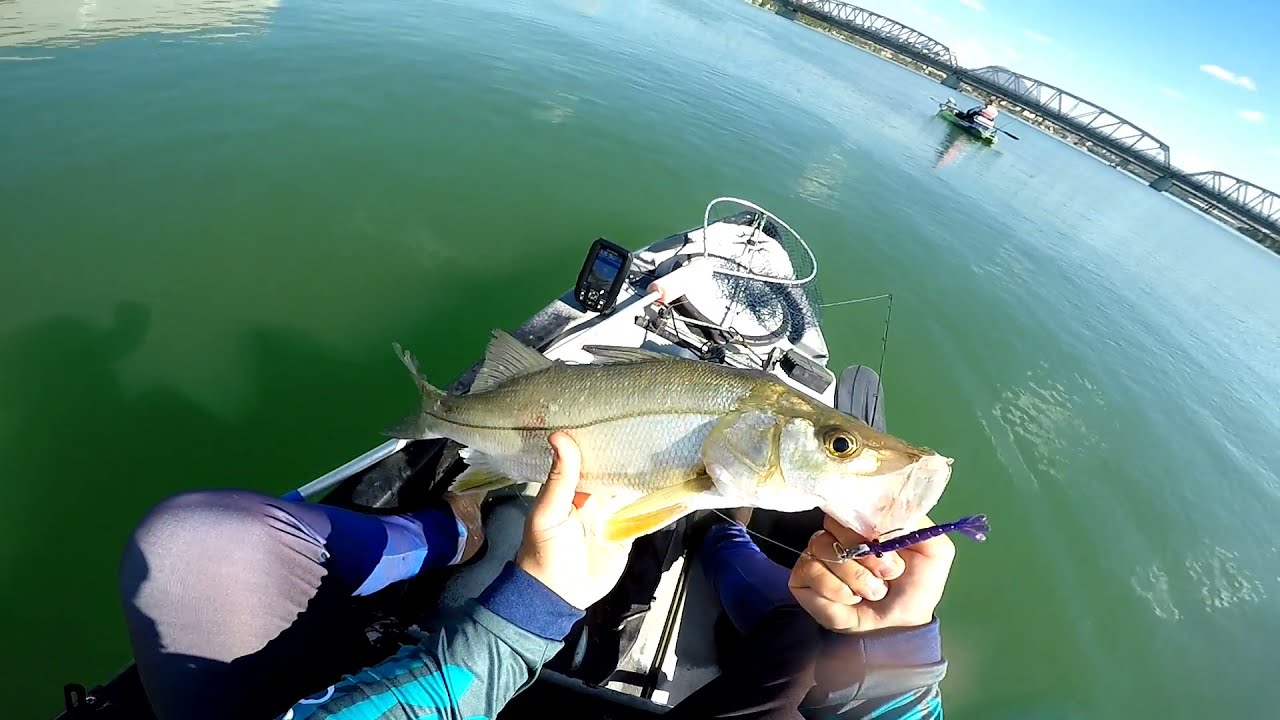 pesca de caiaque no canal de vitória - Espírito Santo,Robalo. #robalopeva  #ultralightfishing