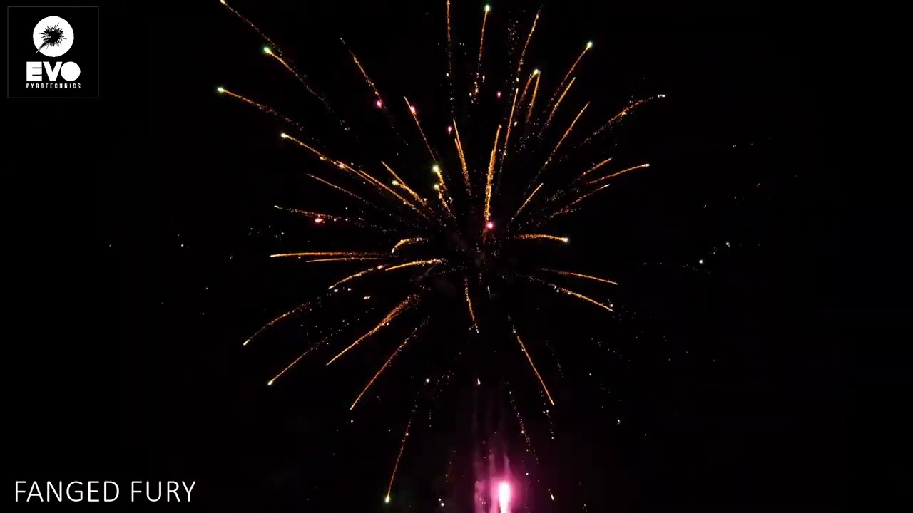 Fanged Fury by Evo Pyrotechnics @norfolkfireworksltd